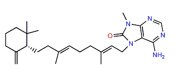 (-)-8'-oxo-Agelasine D